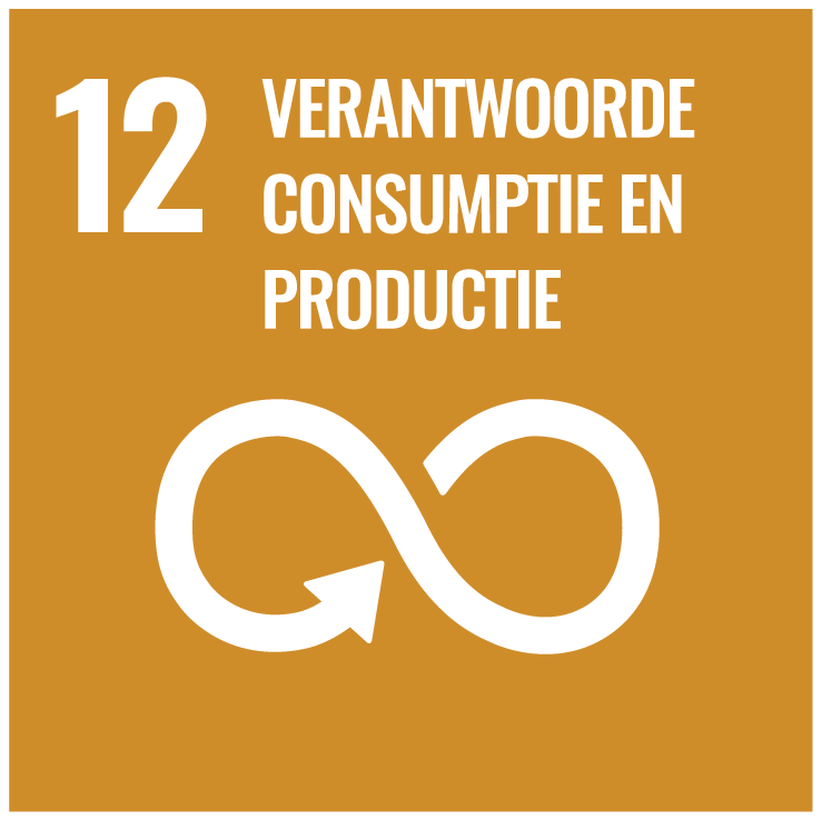 Verantwoorde consumptie en productie